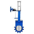 Pneumatic gate valve