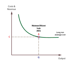 Minimum Efficient Scale Definition And Significance Economics Online Economics Online