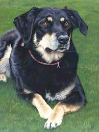 Pin By Lauren Nagy On Art Business Tips In 2021 Pet Portraits Cat Portraits Dog Portraits
