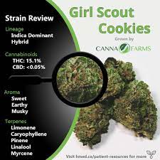 Strain Review Dry Flower Medical Cannabis Harvest Medicine
