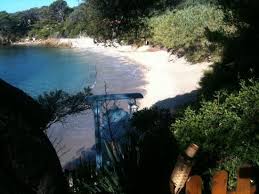 Duo De Carrelet Et Saint Jacques Photo De Le Pradeau Plage Hyeres Hyeres Plage Hyeres Plage