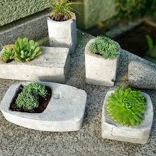 Diy Beton Giessen So Gehts Mein Rezept Nr 1 Pflanzen Kubelpflanzen Garten Design