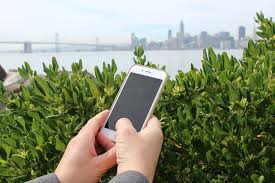 Need advice on how to care for your plants? An App To Identify Almost Anything Almost Anywhere Bay Nature