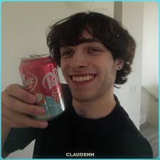 What Is Christopher Sturniolo Wink