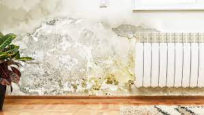 Damp walls also encourage mould growth, which can lead to health problems for occupants. Damp Proofing Freedom From Damp Walls Berger Blog