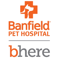 Tampa general hospital offers gastroenterology services that provide the highest level of care for a full range of conditions affecting the digestive system. Banfield Pet Hospital Jobs Glassdoor