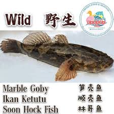 Early characters were drawn to resemble objects. Live Or Frozen Fish Soon Hock Marble Goby é¡ºå£³é±¼ Shopee Malaysia