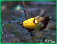  Rasyidin Dinsabah Dinsabah Profile Pinterest