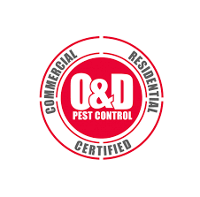 Protecting your health, property & environment since 1979. Termites Info Termites Control Jamaica