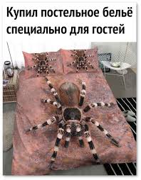 pin on prikoly pro zhizn