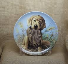 At lish kennels, our passion is field bred golden retrievers that thrive in a home & family atmosphere and turn it on to excel in field. Field Golden Retriever Puppies For Sale Wisconsin Bmo Show