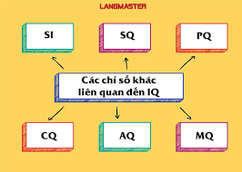 IQ LÀ GÌ? NHỮNG YẾU TỐ NÀO ẢNH HƯỞNG ĐẾN IQ?