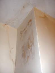 Damp On Unused Chimney Cracked Plaster On Wall Diynot Forums