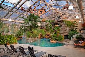 Biosphere Pool Backyard Pool Landscaping Indoor Pool Design Backyard Pool