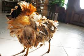 We did not find results for: Zero The Dog Costume Inhabitat Green Design Innovation Architecture Green Building