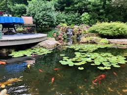 I actually like the idea of a simpler garage with a breezeway. Blogs Pond Designs Landscape Ideas In Rochester Ny Acorn Ponds Waterfalls