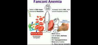 We did not find results for: Pediatric Home Facebook