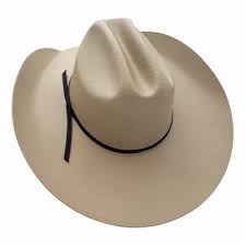 Image result for Sand Light 1972 Crown