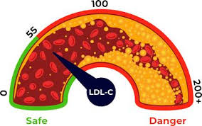 Image result for LDL Cholesterol