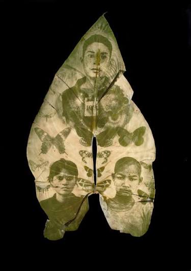 Work by Binh Danh