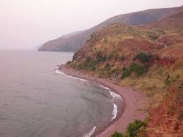 Image result for Leptactina benguelensis