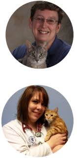 Maybe you would like to learn more about one of these? Veterinarian Algonquin Il Pet Vet Animal Clinic 847 669 6635