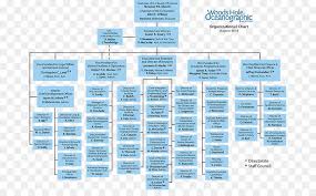 Organizational Chart Text Png Download 738 542 Free