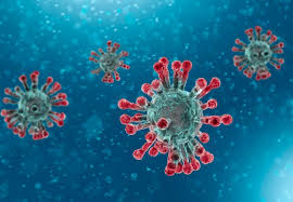 As a global public opinion organisation, yougov is privileged that so many people around the world share their views and behaviours with us every day. Report Estimates 9 000 Non Covid Excess Deaths From Pandemic In England Imperial News Imperial College London