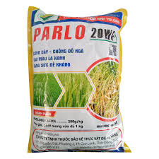 Parlo 20WP