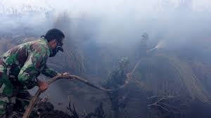 In malaysia, schools have been closed in the capital, kuala lumpur, and several other areas, while singaporeans are being advised to avoid strenuous activity outdoors. Haze Chokes Indonesia Malaysia And Singapore Bbc News