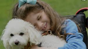 Fundraiser by Sarah Dobson : 11-Year-Old Stroke Warrior Needs a Miracle