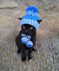 Hut Fur Katze Haustier Hut Haustier Kostum Hakeln Blaue Hute Fur Katzen Katzen Pet Costumes Pet Halloween Costumes Pet Costumes Cat