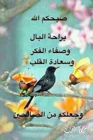 اجمل رسائل وصور الصباح 2020 مسجات دعاء صور صباح الخير حبيبيتي 2020 مسجات صباحيه رائعه good morning images morning images good morning
