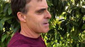 Diablo Foods in Lafayette, California