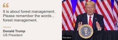 Us West Coast Fires Is Trump Right To Blame Forest Management Bbc News
