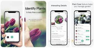 Met deze app water herinnering app vergeet je nooit meer om je planten water te geven, te bemesten of te roteren! 5 Apps Om Planten Te Herkennen Libelle