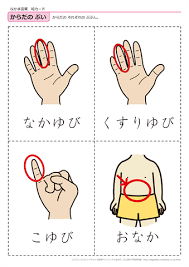 言葉の絵カード 仲間ことば 無料ダウンロード 印刷 幼児教材 知育プリント ちびむすドリル 幼児の学習素材館 japanese phrases japanese language learning japanese language lessons