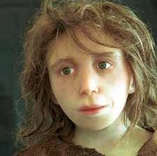 Neanderthals may have interbred with humans