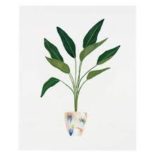 Desktop Birds Of Paradise Wallpaper Lulu Georgia Bird Of Paradise Print Plant Art Print Plant Wallpaper Plant Art