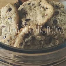 Biscuits Aux Brisures De Chocolat Congelateur De Ricardo Biscuits Alimentation Chocolat