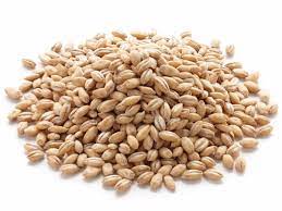 Quick stats 330 calories 77g carbs (63g net carbs) Barley Nutrition Facts Eat This Much