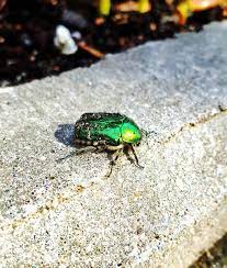 vesna vse taki pripolzla sonnaya takaya i vyalaya no vesna moskva vesna prishla priroda solnce nastroenie foto bezfiltra gale exhibition moscow artist