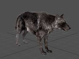 Wolf holding sword anime wallpaper, berserk, black swordsman. Animated Black Wolf Free 3d Model Fbx Open3dmodel 123157