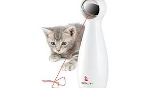 Reviews & ratings in 2021. Keep Your Cat Happy And Active Eight Toys To Help Entertain You Bored Cat Daily Mail Online