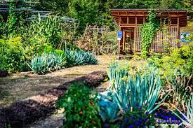 Jardins Botaniques Du Grand Nancy Et De L Universite De Lorraine About Facebook