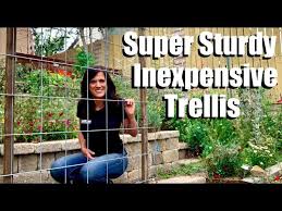 In this video i will be bui. Making A Super Sturdy Easy Inexpensive Trellis To Maximize Garden Space Planting Cucumbers Youtube