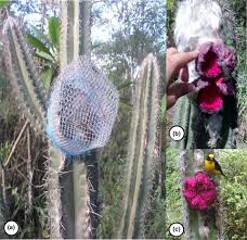 What is the radius of the garden as an approximate value rounded to at least two decimal places. A Circular Flower Garden Has An Area Of 314