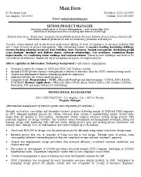 Project Manager Technology Project Manager Resume Manager Resume Resume Examples