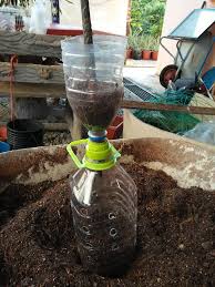 Katanya, cara tanam bayam brazil ni mudah sahaja kerana daunnya cepat membesar. Tanam Bayam Brazil Dalam Botol Plastik Cantik Merimbun Senang Nak Petik Mingguan Wanita