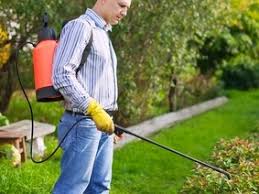 Zap pest control is a company focused on solving your pest problems quickly, providing the best possible customer experience and doing it for a fair price. North Myrtle Beach Insect Control Lawn Care Services North Myrtle Beach Sc
